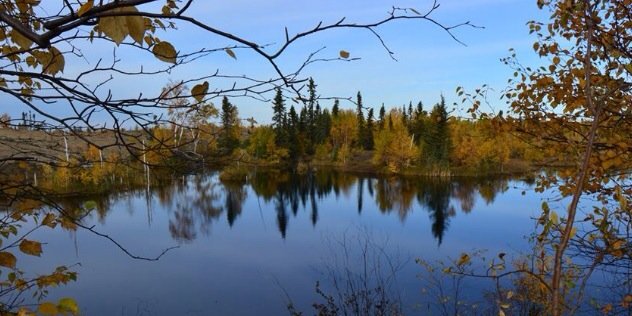 FlinFlonChamber's profile banner image