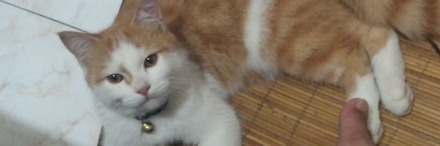 fajrinrhmtulloh's profile banner image