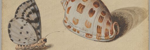 Pablo Julian Helman banner