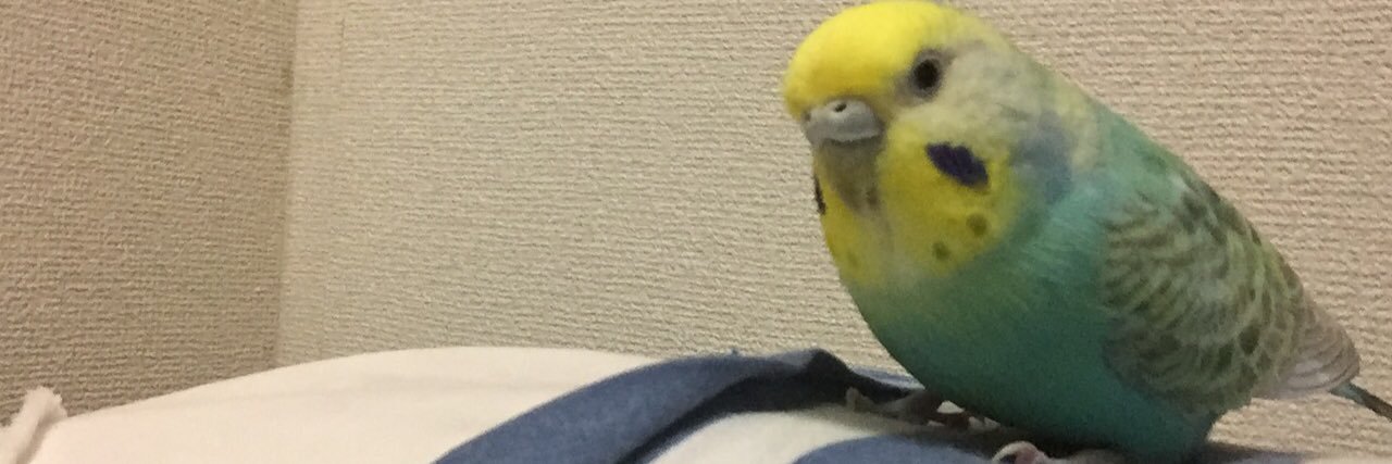 gakusandayone's profile banner image