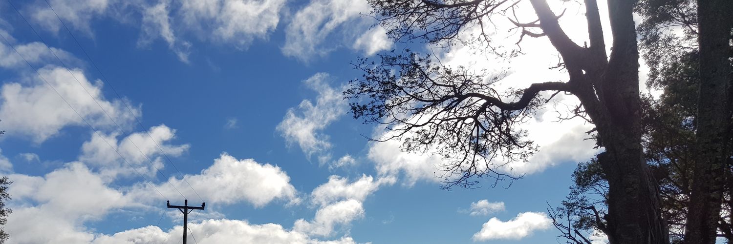 ShaunDelphine's profile banner image