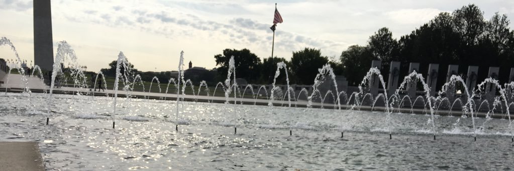 nschoenbaum's profile banner image