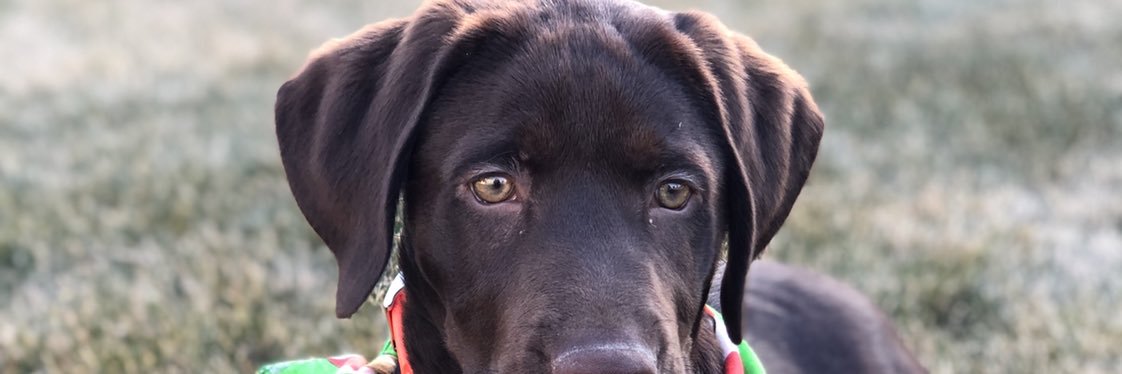 LilFuller7's profile banner image