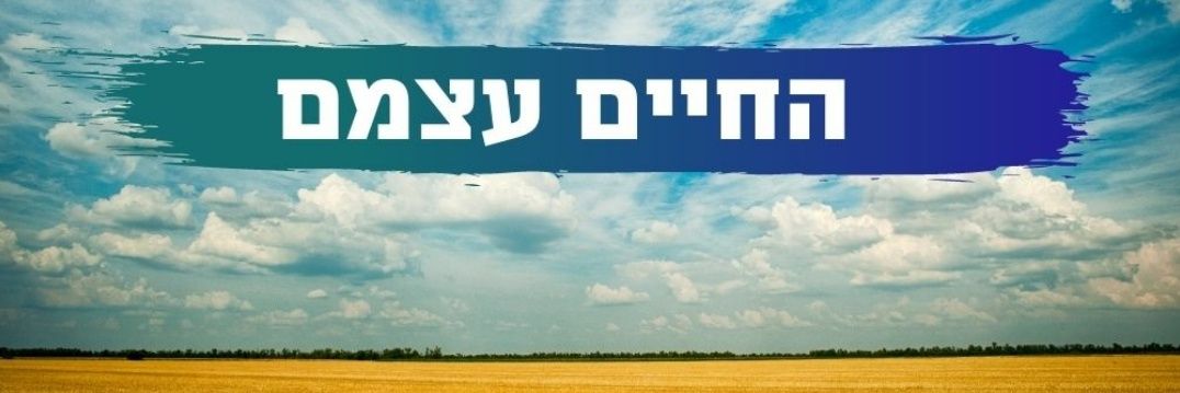 איתן כבל banner