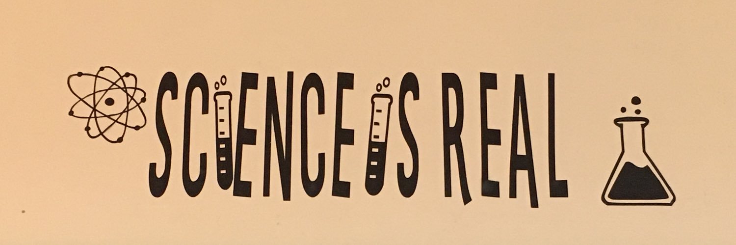 Mrsmancuso8's profile banner image