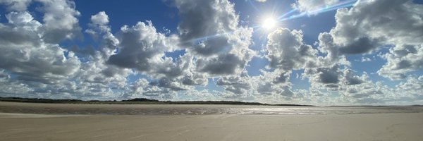 profgeraintrees Profile Banner