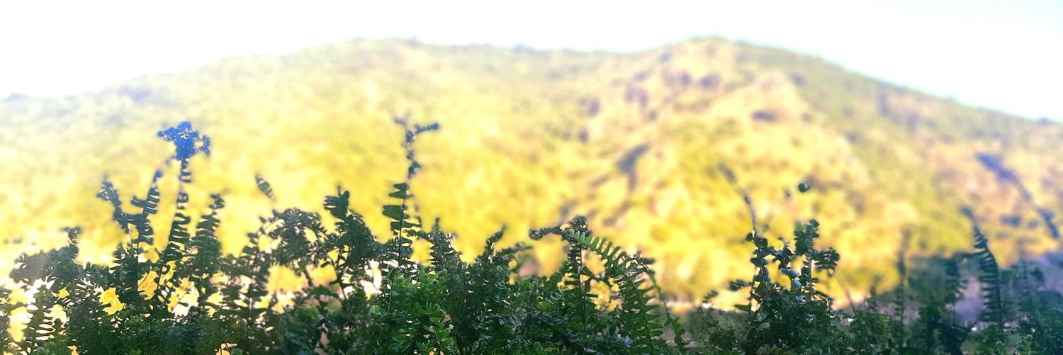 Maana2240's profile banner image