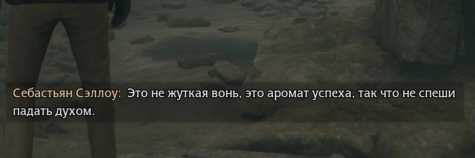 Пчела 🐝 banner