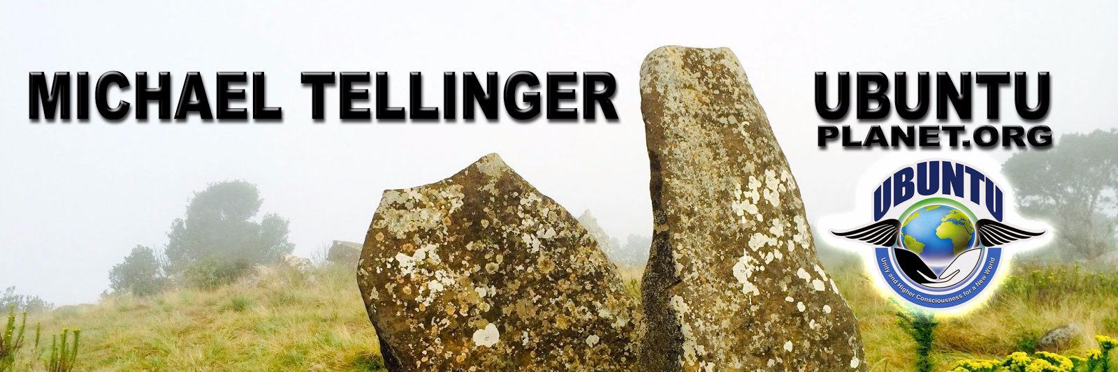 Michael Tellinger banner