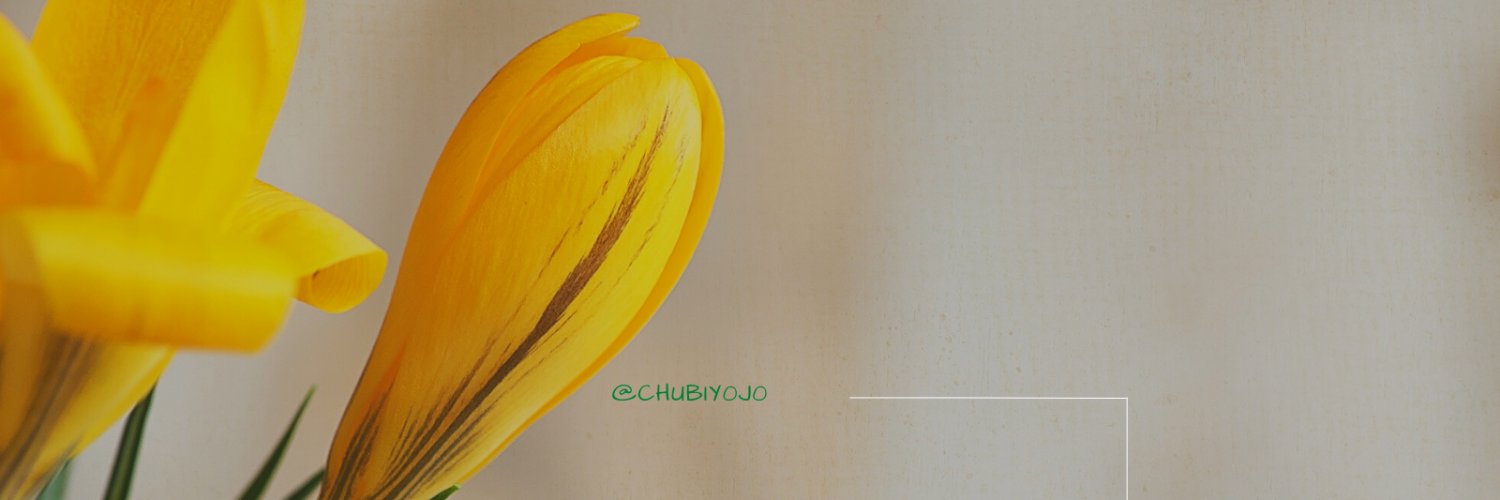 Chubiy0j0's profile banner image