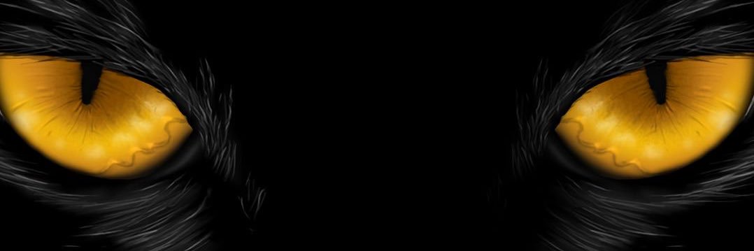 𐙚 banner