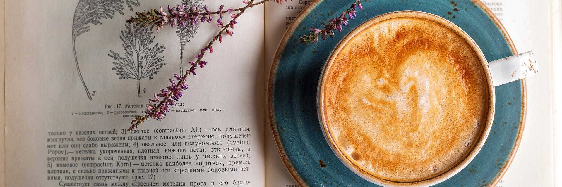 elisekovi's profile banner image