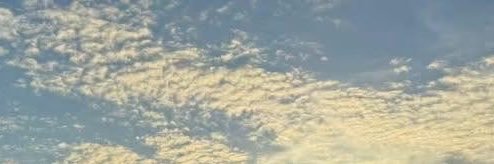 YoU_2569's profile banner image