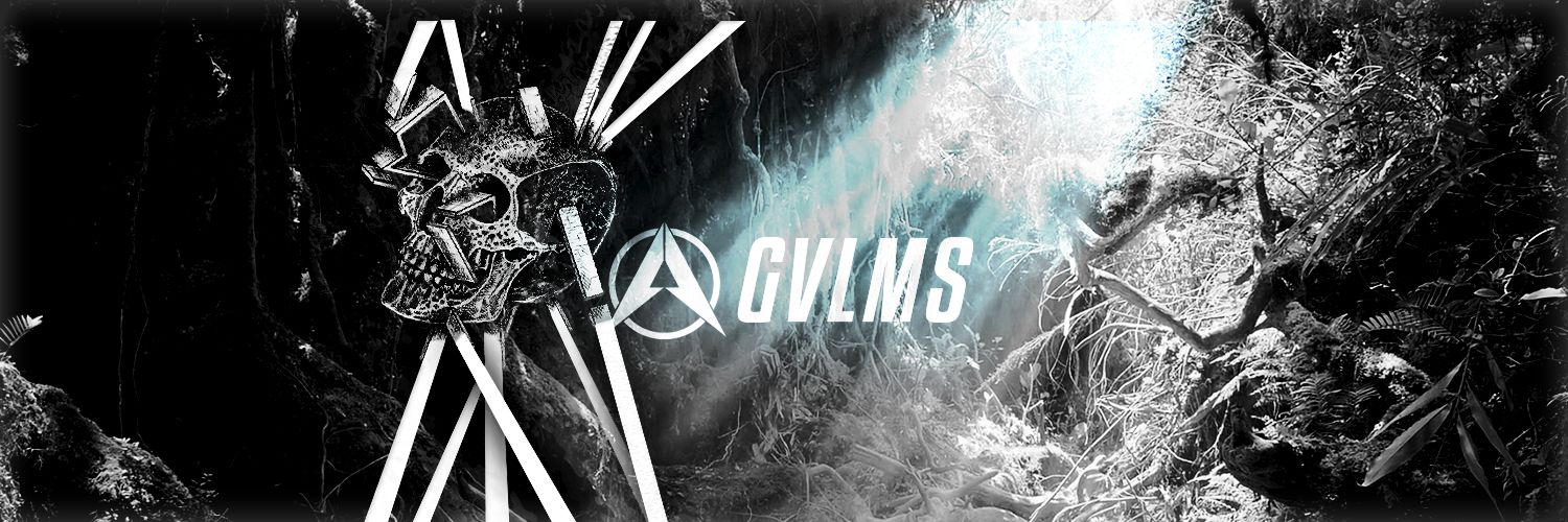 AbilityGvlms's profile banner image