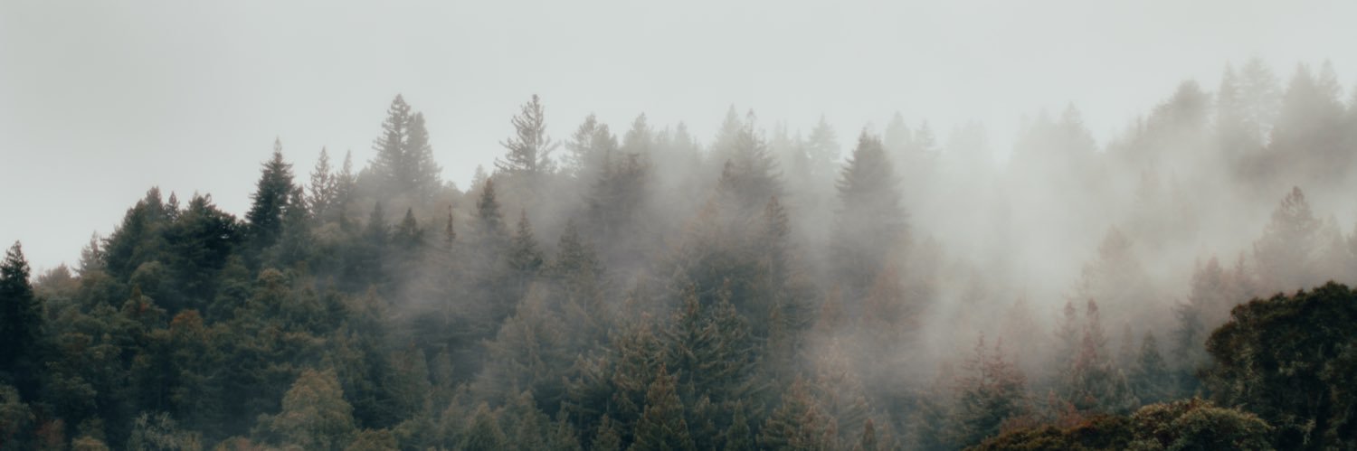 PuttDoabeDa's profile banner image