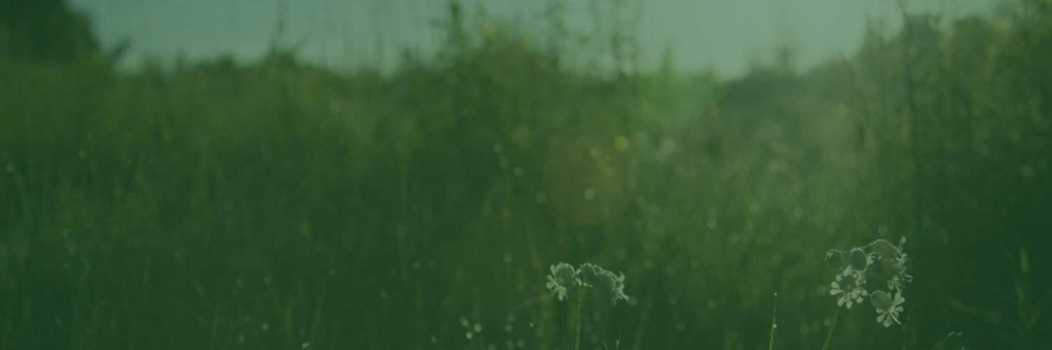 Eco Web Hosting banner