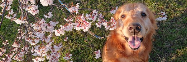 01300218 Profile Banner