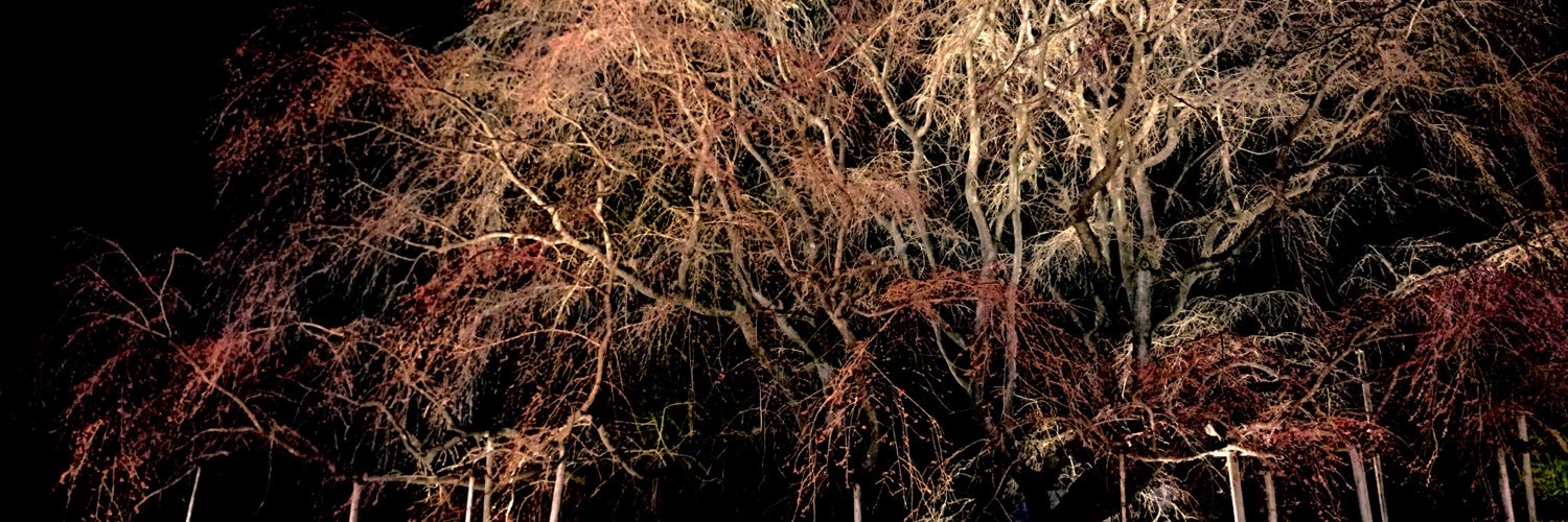 荒野 貴樹 banner