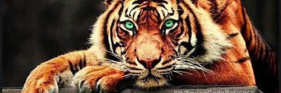 itslarrydavis's profile banner image