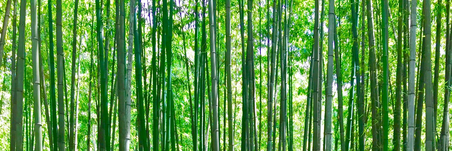fpoy3's profile banner image