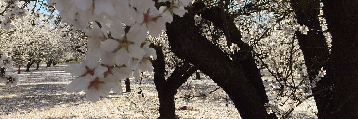 AnnetteLBrown's profile banner image