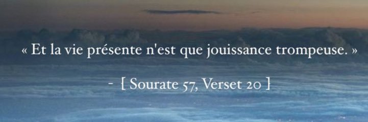 ✨mardi✨🍉🍉 banner