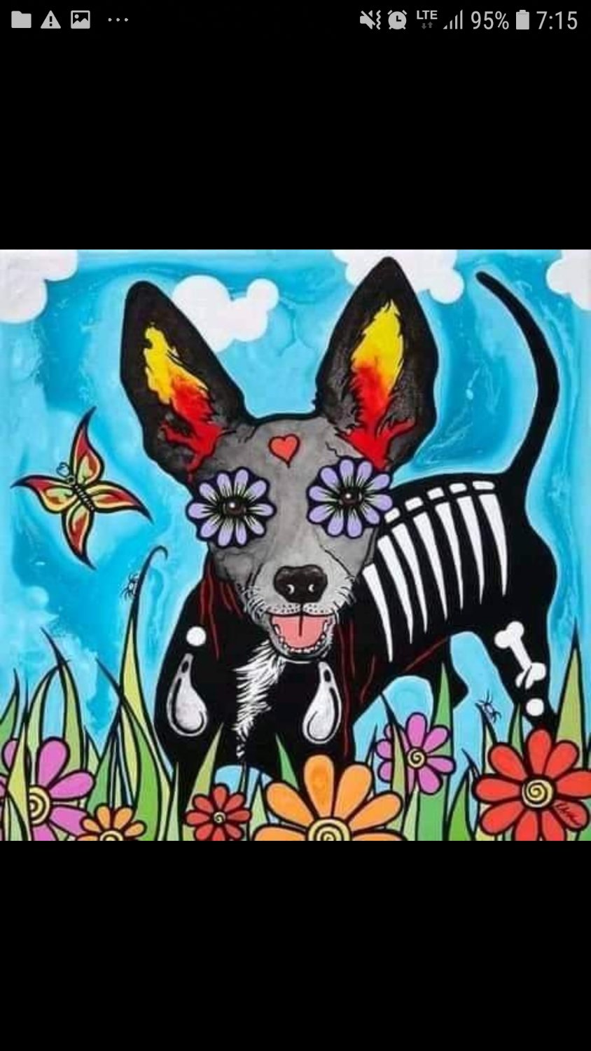 Gustavo Santander🔻 banner