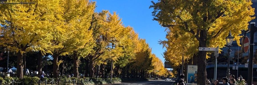 watari_hamster's profile banner image