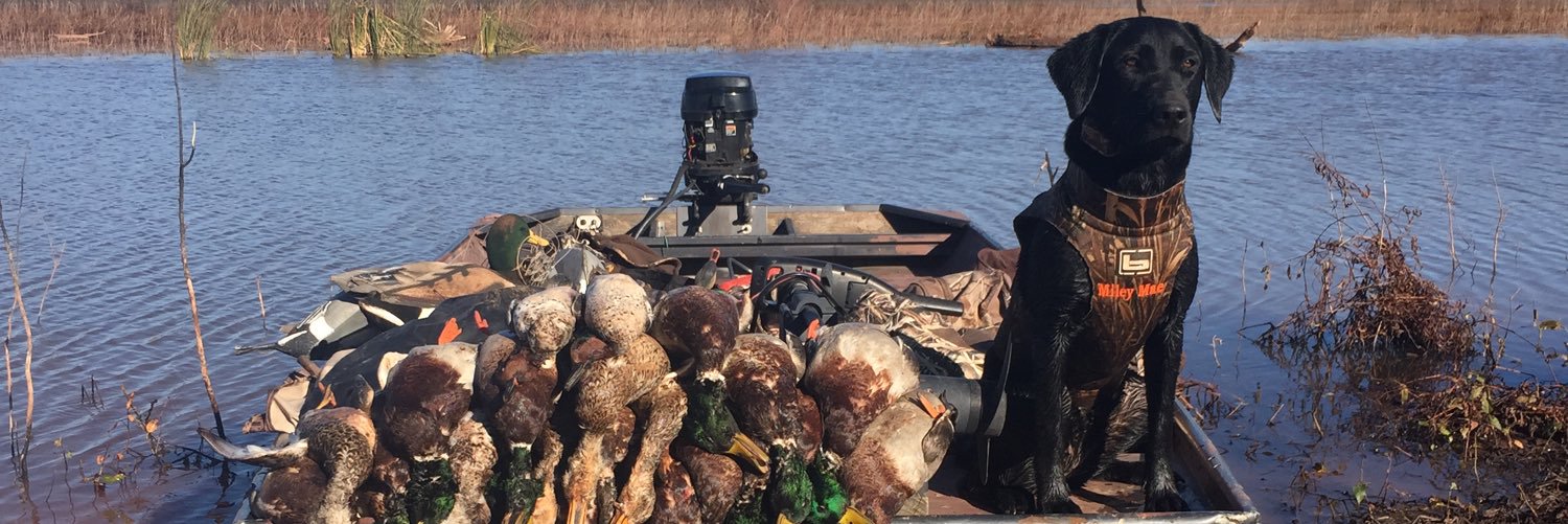 br_wilson21's profile banner image