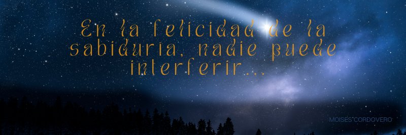 haquin_E's profile banner image