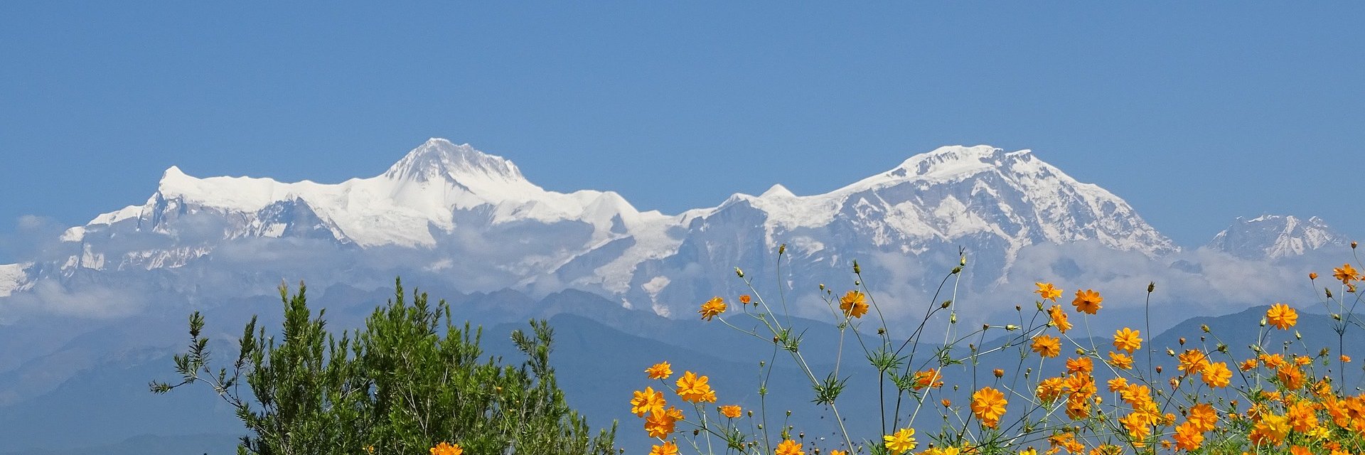 CharterForHealthcare banner