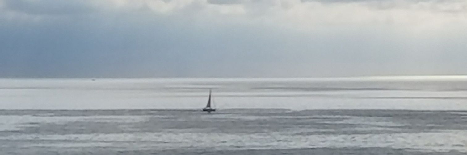 Deborah Schnitzer banner