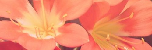 o12785's profile banner image