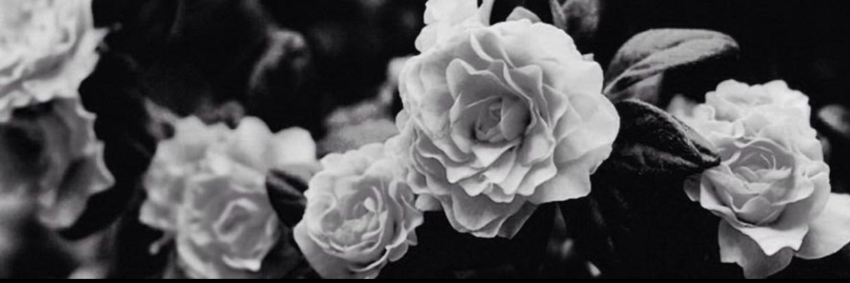 ✵ banner