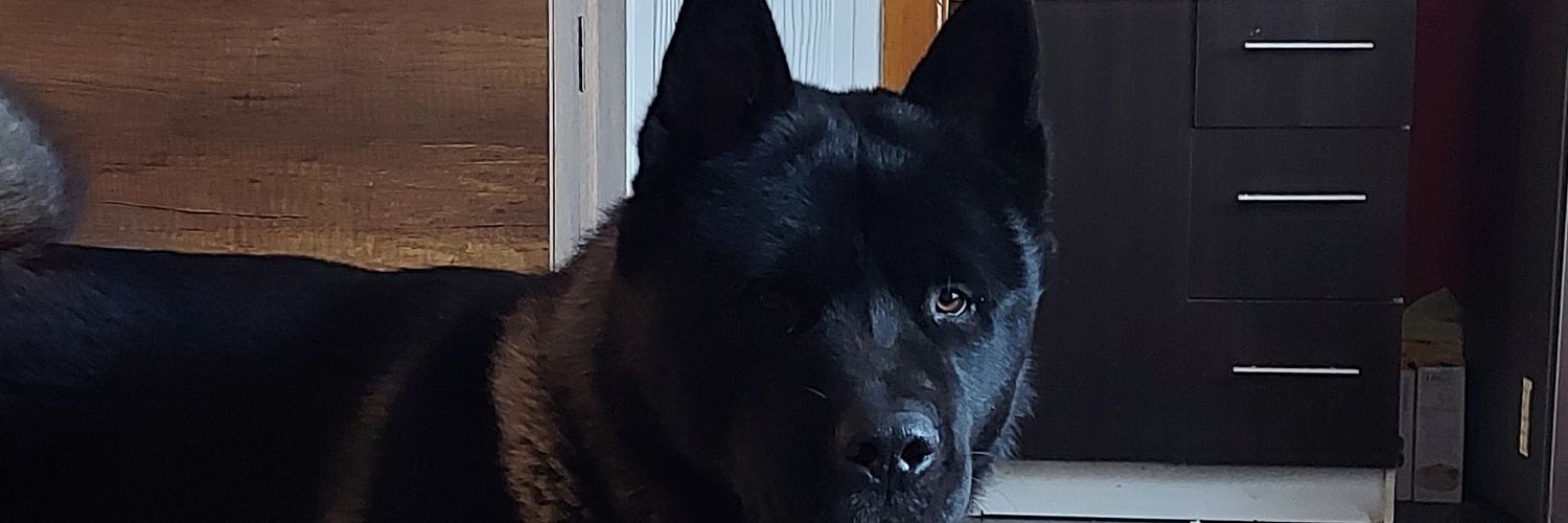 fvillatoroo's profile banner image