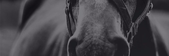 The Helpful Punter banner