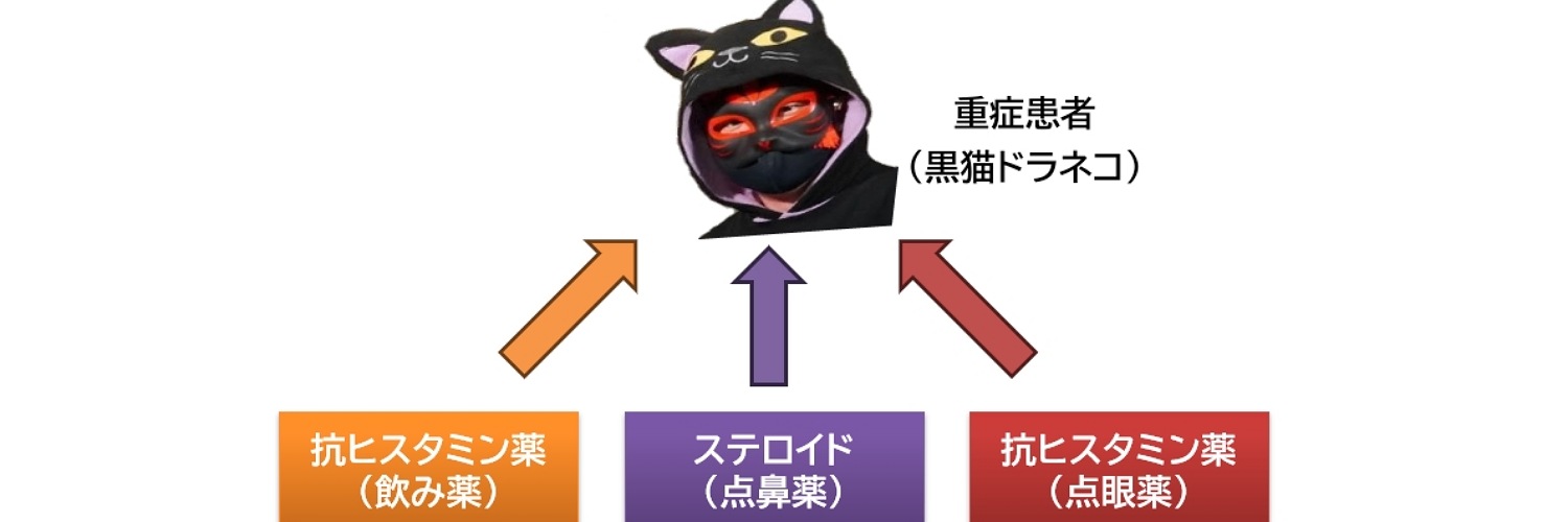 黒猫ドラネコ's banner