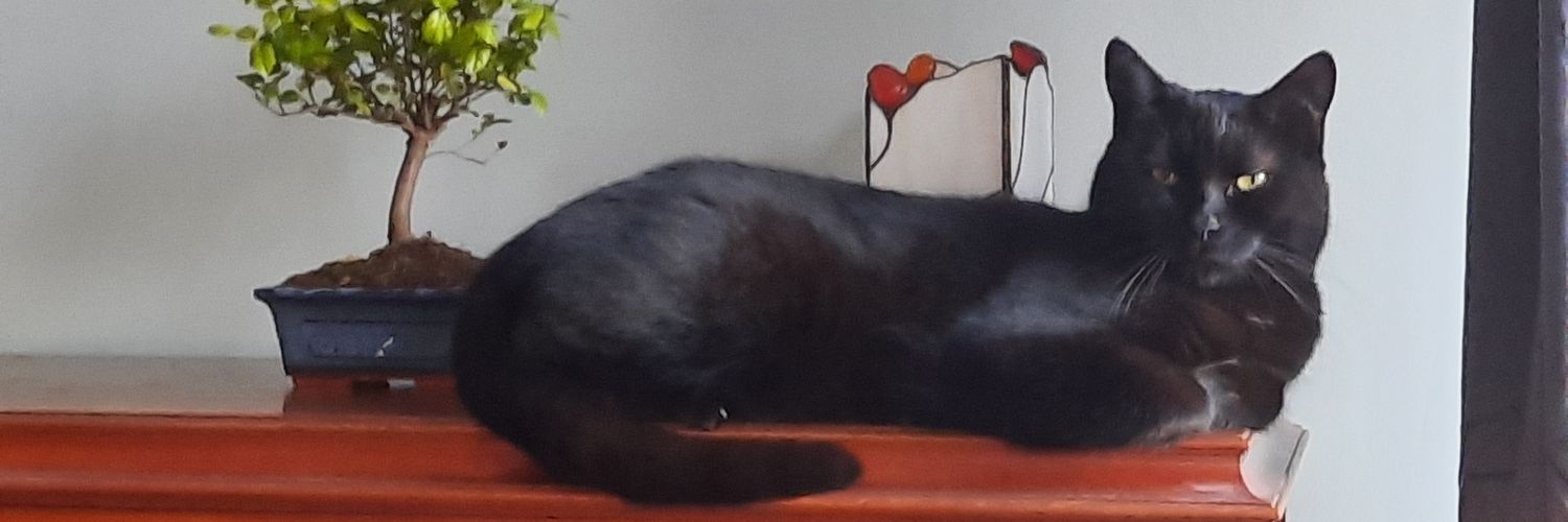 Agentka Cienia banner