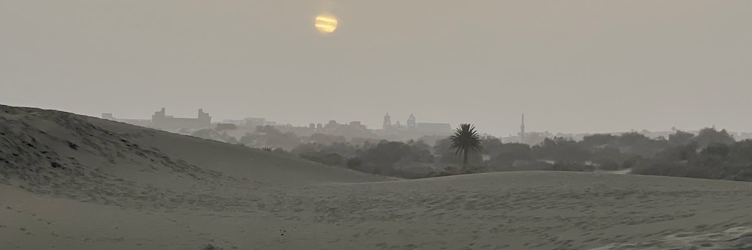 Nela182's profile banner image