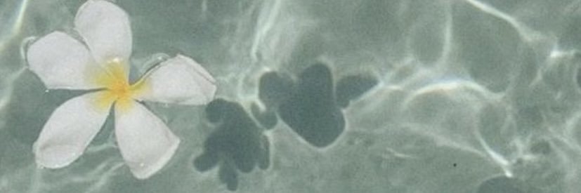 Busrakrlmss's profile banner image