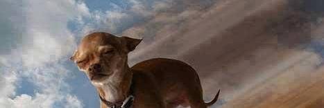 RodolfoIvens's profile banner image