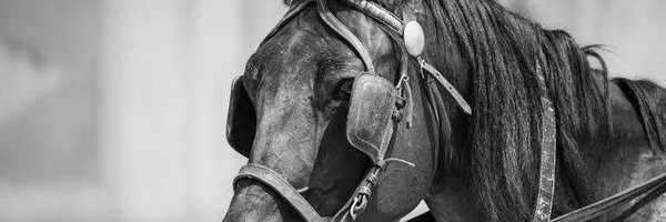 ddakbbam1 Profile Banner