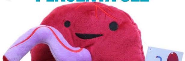 Francesca Soncin, PhD banner