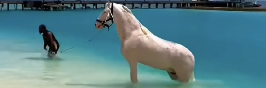 💙Chara💙 banner