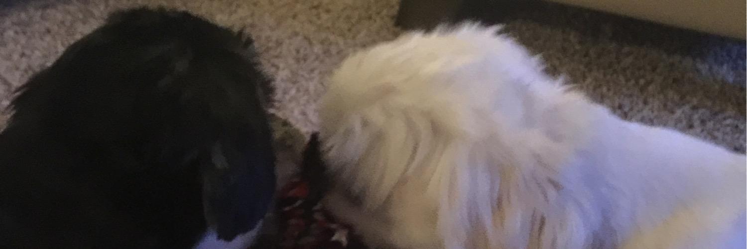 samm1216's profile banner image
