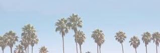 🌺 manda o ig 🌺 banner