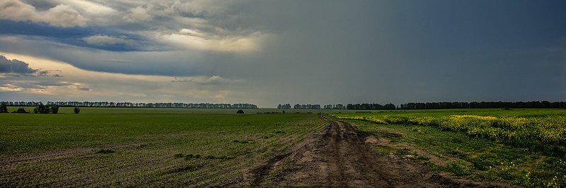 MissGreenParty's profile banner image