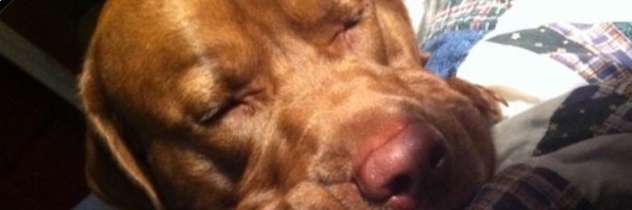 PearceNathanial's profile banner image