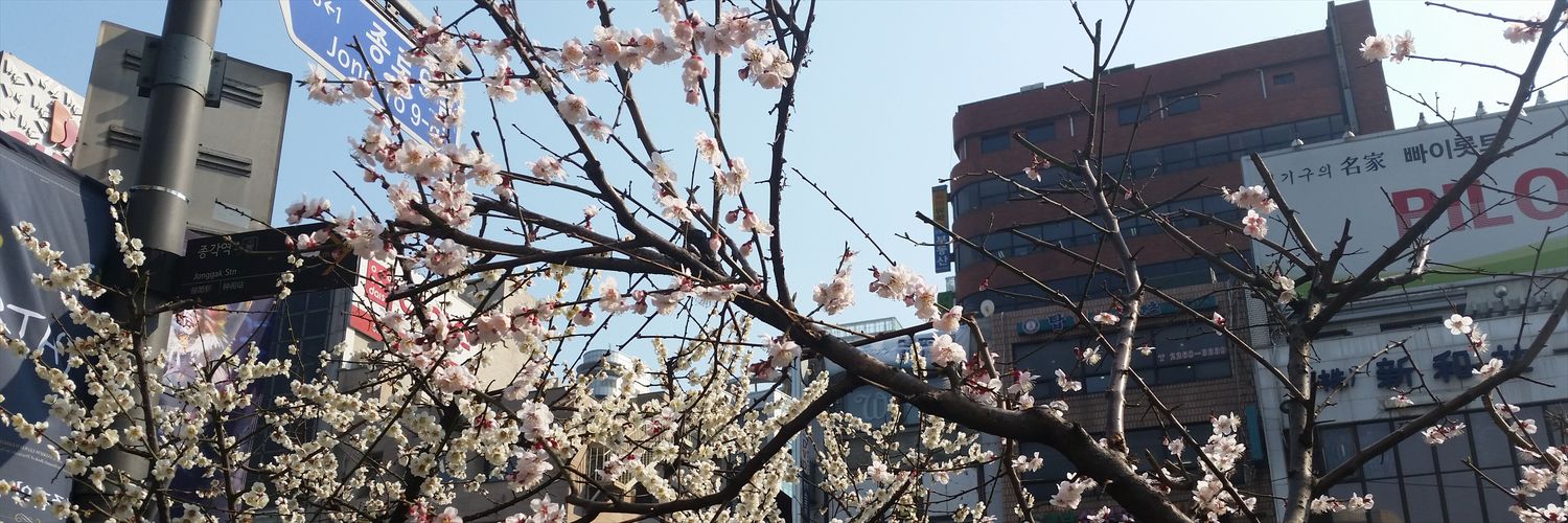 Chio_trl's profile banner image