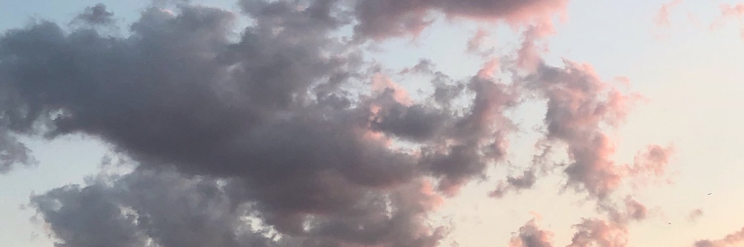 breiolivier's profile banner image